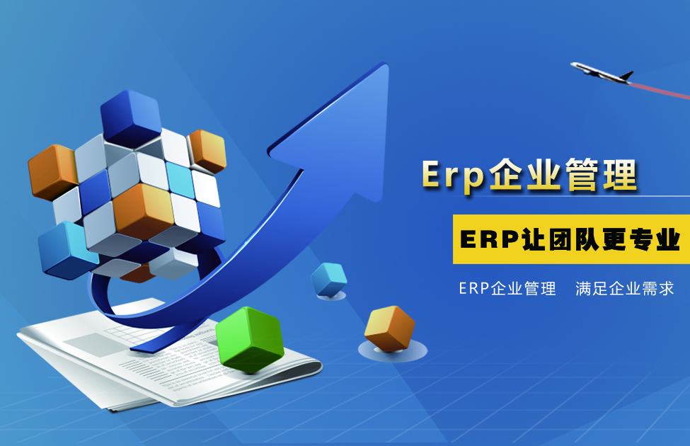 ERP开发